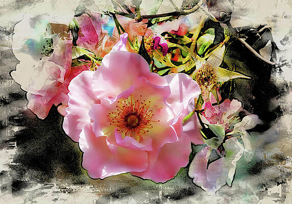 Flower Prowler by Rick Lawler Flower Prowler by Rick Lawler