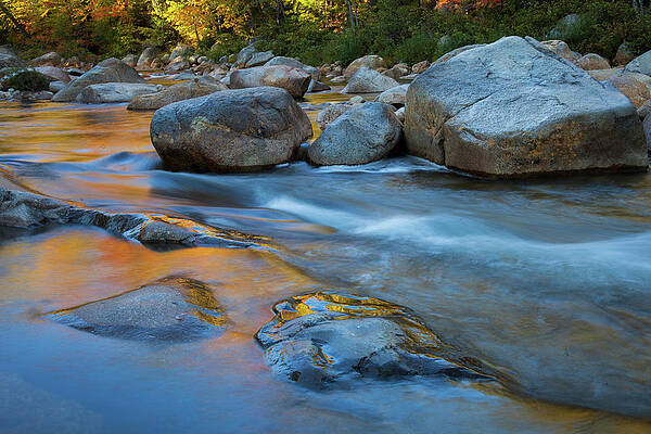Flowing water in the Swift River Kancamagus Highway by Cliff Wassmann Flowing water in the Swift River Kancamagus Highway by Cliff Wassmann