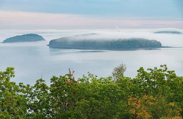 Foggy Bay by Gary Lengyel Foggy Bay by Gary Lengyel