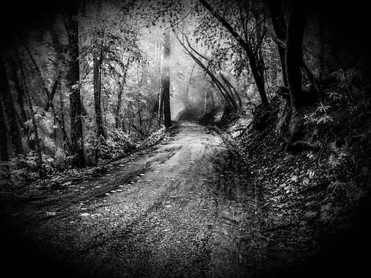 Foggy Drive by Christina Ford