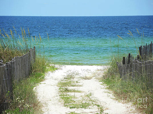 Follow the White Sand Road by Lucyna A M Green Follow the White Sand Road by Lucyna A M Green