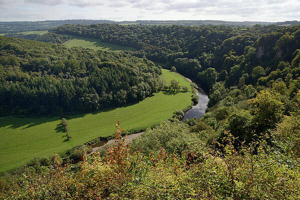 Wall Art - Photograph - Forest Of Dean And River Wye Overview From Symond's Yat by Nick Upton / Naturepl.com