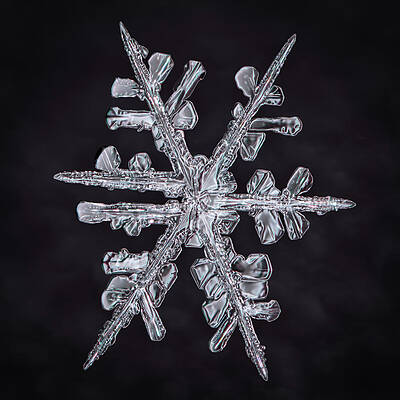 Forked Snowflake by Brian Caldwell Forked Snowflake by Brian Caldwell