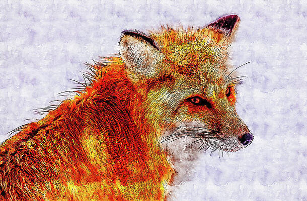 Cool Colors Drawings Page 3 Of 17 Fine Art America