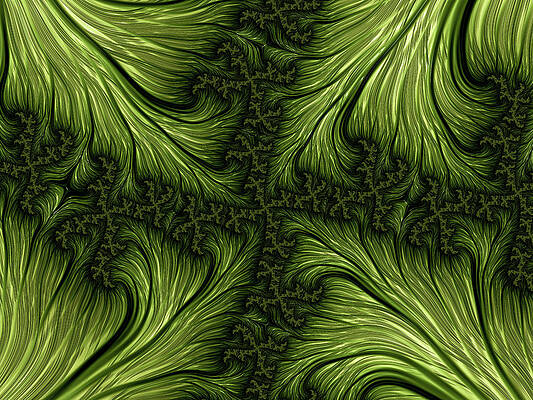 Fractal Forest Foliage by Hakon Soreide Fractal Forest Foliage by Hakon Soreide