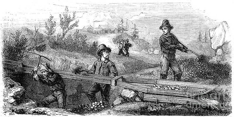 Wall Art - Drawing - French Miners Working A Long Tom by Print Collector