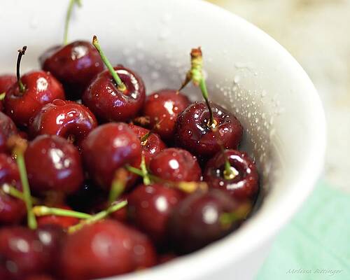Fresh Cherries White Bowl Food Photography by Melissa Bittinger Fresh Cherries White Bowl Food Photography by Melissa Bittinger