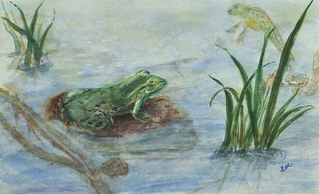 Frog Rock Paintings Page 2 Of 2 Fine Art America