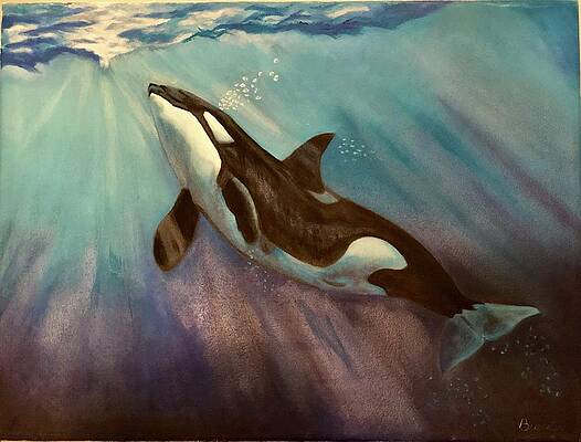 John Bravata Art