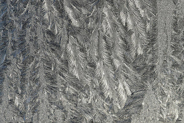 Wall Art - Photograph - Frost Pattern on a Window Following by Wolfgang Rattay
