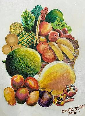 Ackee Art  Fine Art America