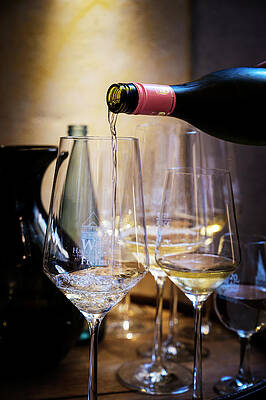 Black And White Wall Art featuring the digital art Germany, Baden-wurttemberg, Black Forest, Freiburg Im Breisgau, Munsterplatz, Alte Wache, Haus Der Badischen Weine, White Wine Tasting by Franco Cogoli