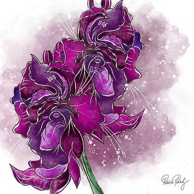 Gladioli by Patricia Piotrak Gladioli by Patricia Piotrak