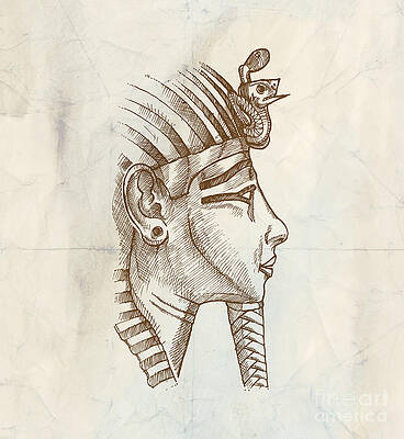 Osiris Drawings | Fine Art America