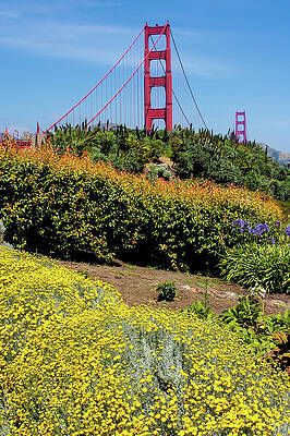Golden Gate Bridge Summer by Anthony Sacco Golden Gate Bridge Summer by Anthony Sacco