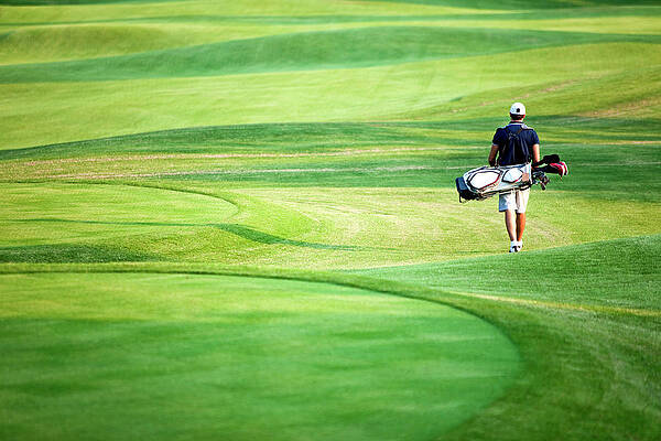Golfer Print by Logosstock