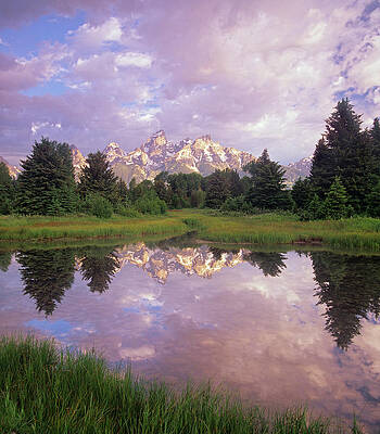 Wall Art - Photograph - Grand Teton Reflection, Grand Teton National Park, Wyoming by Tim Fitzharris