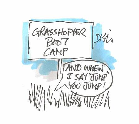 Wall Art - Drawing - Grasshopper Boot Camp 'when I Say 'jump' You Jump by Neil Dishington