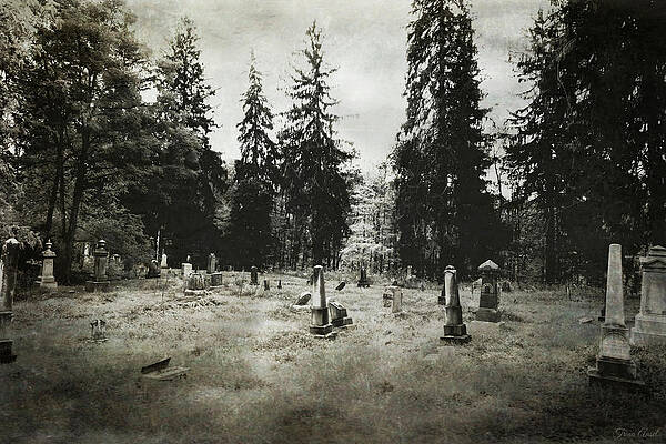 Graveyard in New York by Trina Ansel Graveyard in New York by Trina Ansel