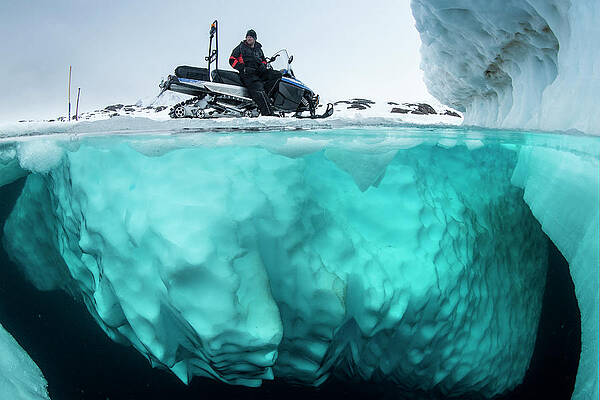 Wall Art - Photograph - Guide Waiting On Iceberg For Divers Exploring Greenland Sea by Franco Banfi / Naturepl.com