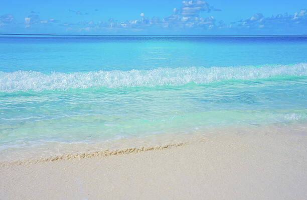 Wall Art - Photograph - Half Moon Cay Beach 1 by Dawn Richards