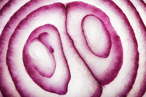 Wall Art - Photograph - Half Red Onion Macro by Johan Swanepoel
