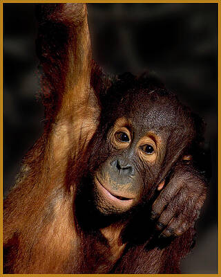 Hanging Around by Joe Sclafani
