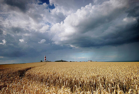Wall Art - Photograph - Happisburgh Lighthouse by A World Of Natural Diversity By Paul Shaw
