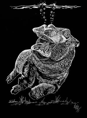 Happy Hippo by Mark Ray Happy Hippo by Mark Ray