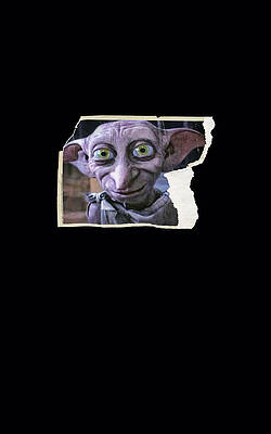 Portrait of Dobby the House Elf from Harry Potter Shower Curtain by Barbara  Searcy - Pixels