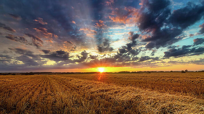 Harvest sunset by Joe Rey Harvest sunset by Joe Rey