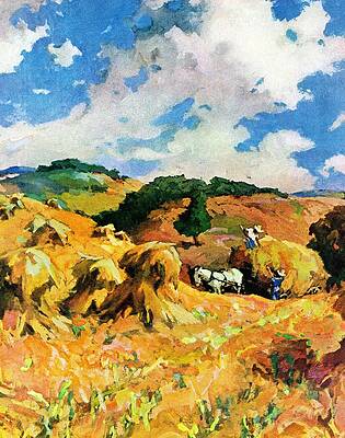 Wall Art - Drawing - Harvest Wheat by Unknown