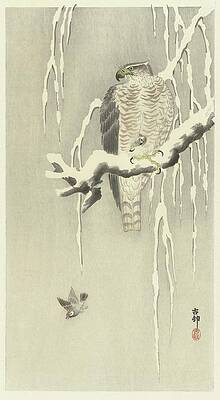 Wall Art - Painting - Hawk With Captive Tree Sparrow by Ohara Koson