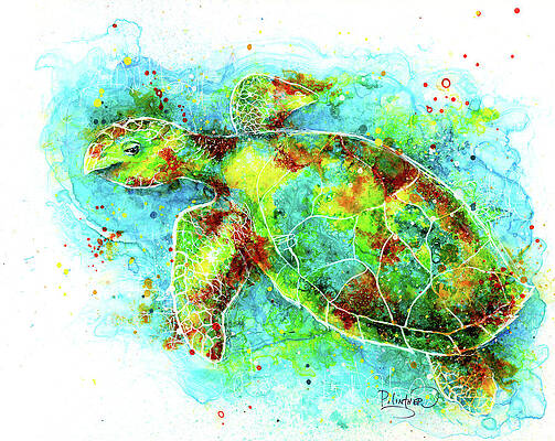 Colorful Hawksbill Sea Turtle by Patricia Lintner Colorful Hawksbill Sea Turtle by Patricia Lintner
