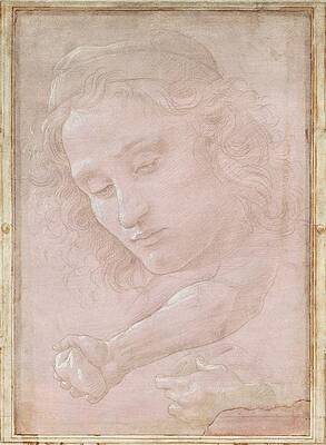 Wall Art - Drawing - Head Of A Youth Wearing A Cap; A Right Forearm by Sandro Botticelli