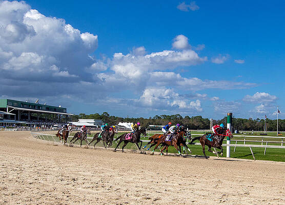 Wall Art - Photograph - Heading Out of the Turn by L Bosco