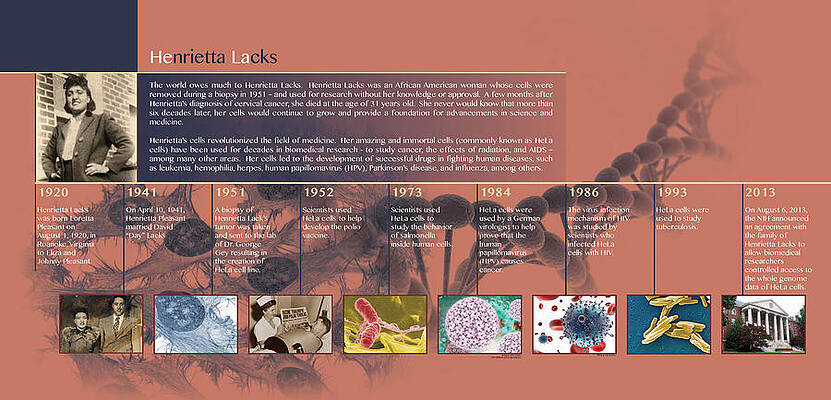 Wall Art - Photograph - Hela Timeline, Infographic by Science Source