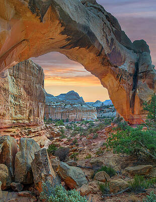 Wall Art - Photograph - Hickman Bridge Arch by Tim Fitzharris