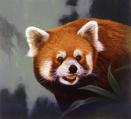 Panda Paintings (Page #2 of 35) | Fine Art America