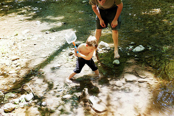 Wall Art - Photograph - High Angle View Of Father And Son Fishing Using Net In River by Cavan Images