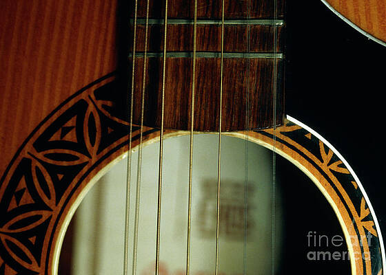 Wall Art - Photograph - High-speed Photo Of Guitar Strings by Science Photo Library