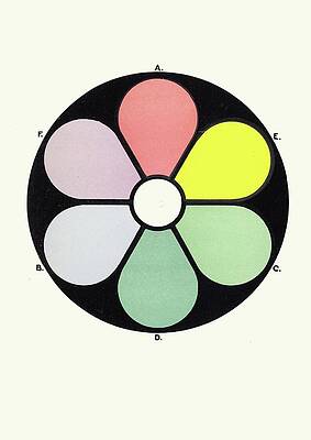 Wall Art - Painting - Highly Illuminated Tints Of The Primaries by James Ward
