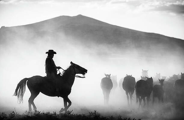 Wall Art - Photograph - His Territory! by Yavuz Pancareken