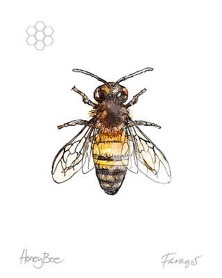 https://render.fineartamerica.com/images/images-profile-flow/400/images/artworkimages/mediumlarge/2/honeybee-peter-farago.jpg