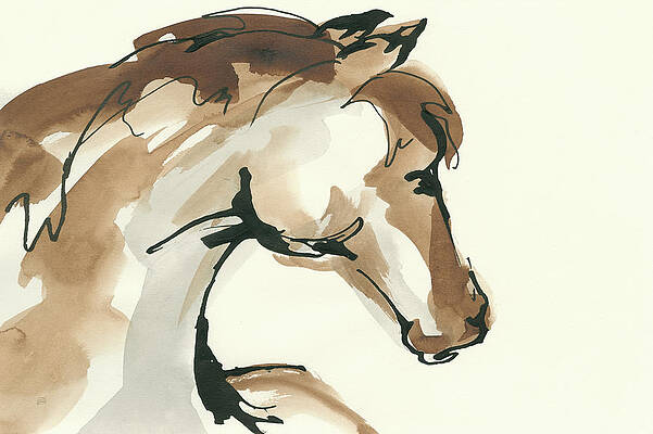 White Horse Head Paintings Fine Art America