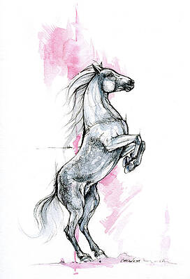Pegasus Horse Tattoo Design