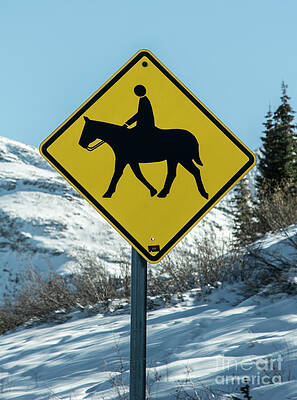 Horseback Riders Warning Sign by Tim Mulina Horseback Riders Warning Sign by Tim Mulina
