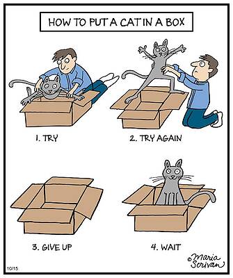 Wall Art - Drawing - How To Put A Cat In Cat In A Box by Maria Scrivan
