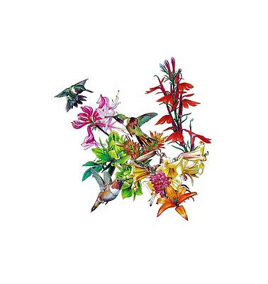 Realistic Flower Drawings Fine Art America At artranked.com find thousands of paintings categorized into thousands of categories. realistic flower drawings fine art