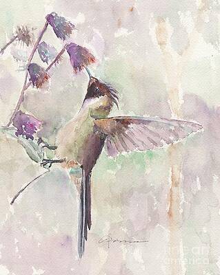 Hummingbird in Soft Hues by Claudia Hafner Hummingbird in Soft Hues by Claudia Hafner